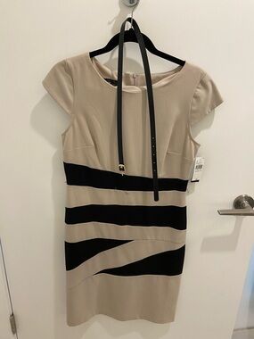 Alyx Beige Dress with Black Wave Stripes